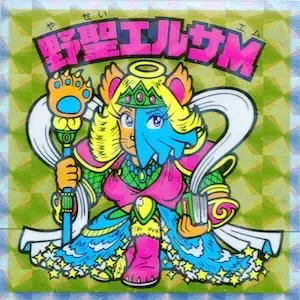 野聖エルサM