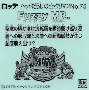 Fuzzy MR. (裏)