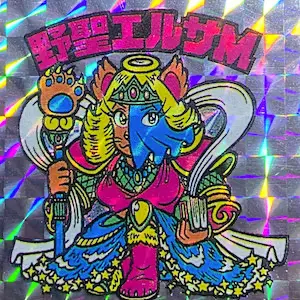 野聖エルサM