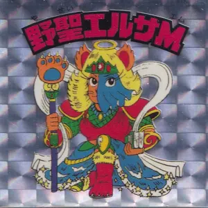 野聖エルサM
