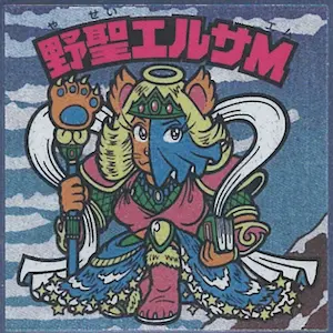 野聖エルサM