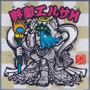 野聖エルサM