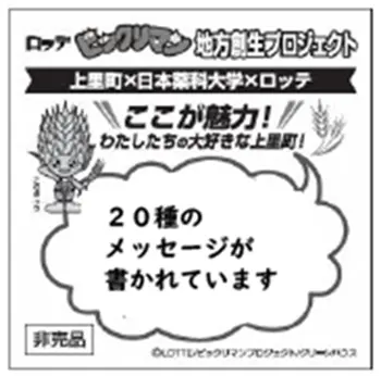 こむぎっちロココ (裏)