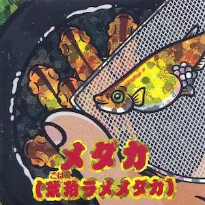 メダカ(琥珀ラメメダカ)