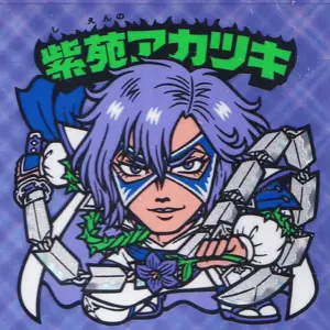 紫苑アカツキ